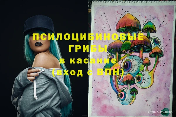 меф Арсеньев