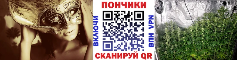 Бошки Шишки Ganja  Тутаев 
